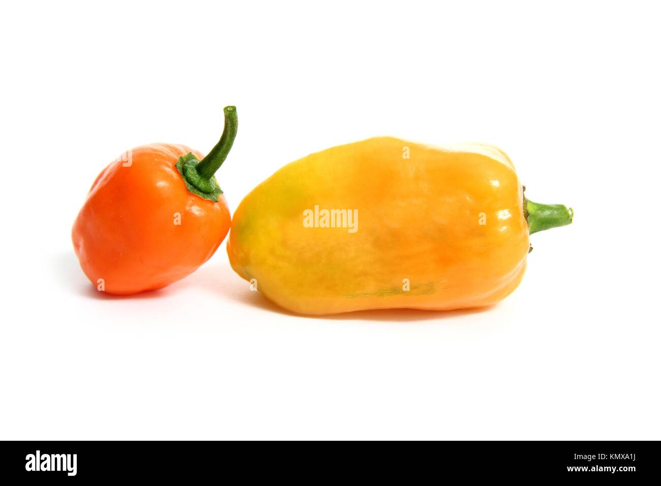 Habanero Capsicum chili hottest pepper in the world from Mexico Stock