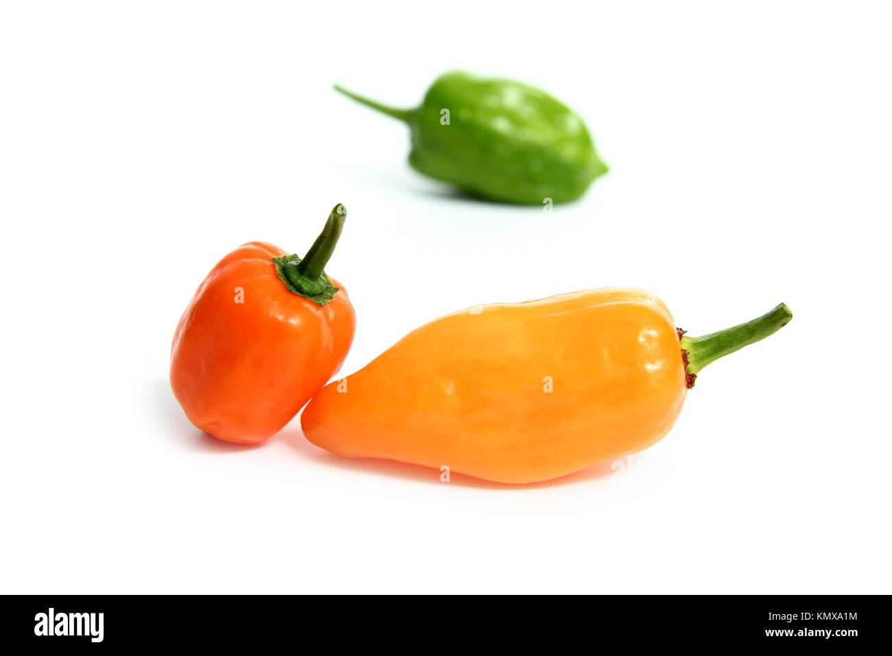 Habanero Capsicum chili hottest pepper in the world from Mexico Stock