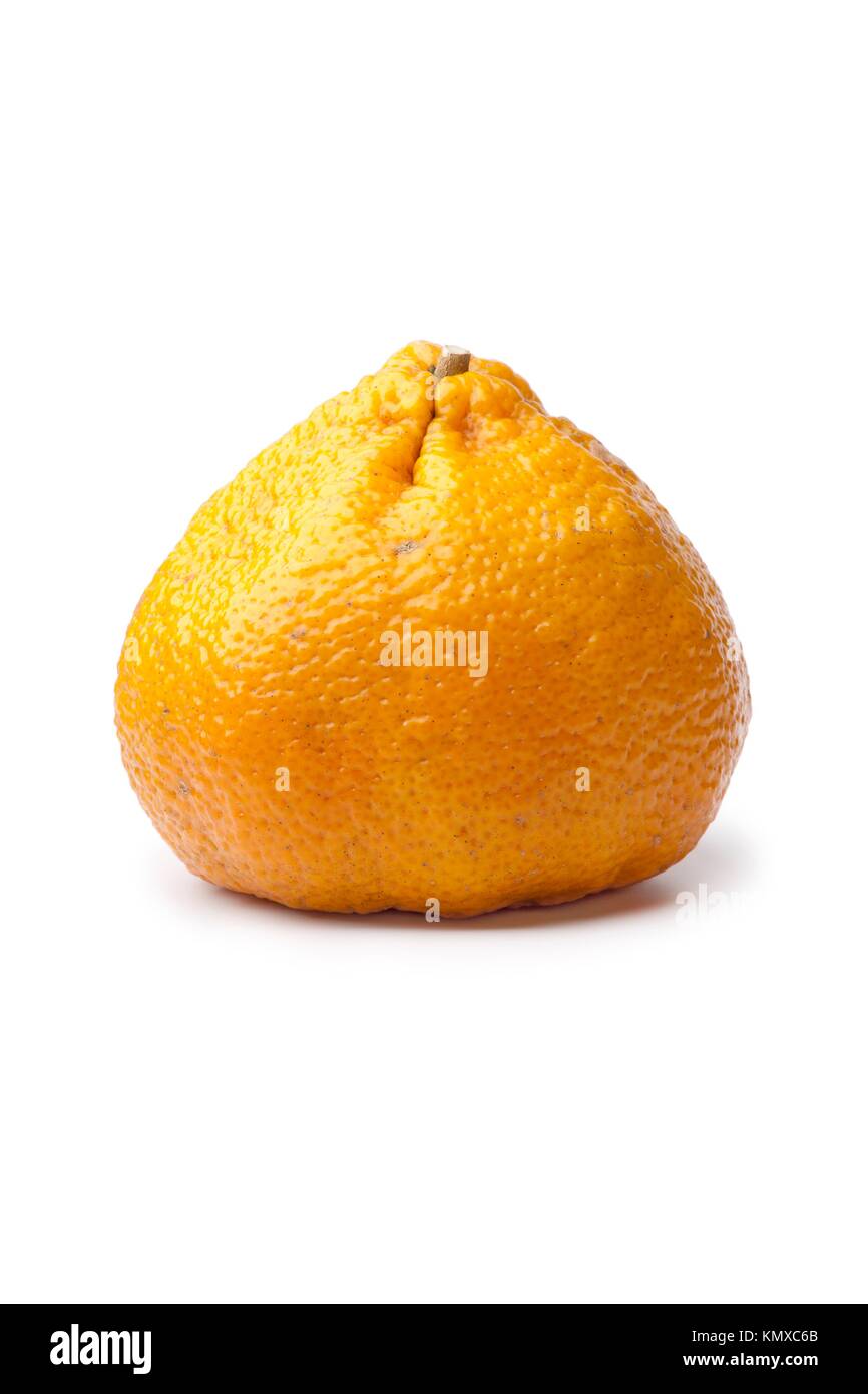 Whole single ugli fruit isolated on white background Stock Photo Alamy