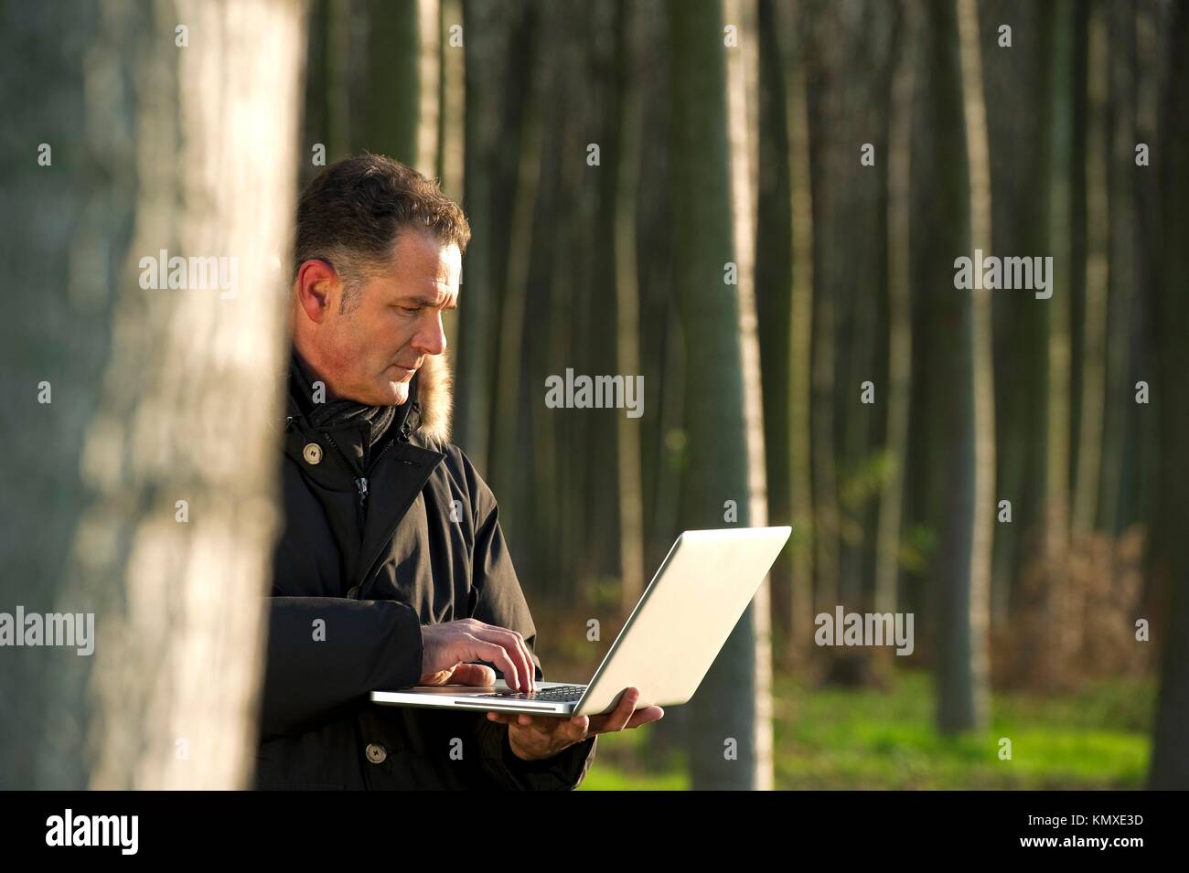 Botanist working with laptop inside a poplar wood Stock Photo