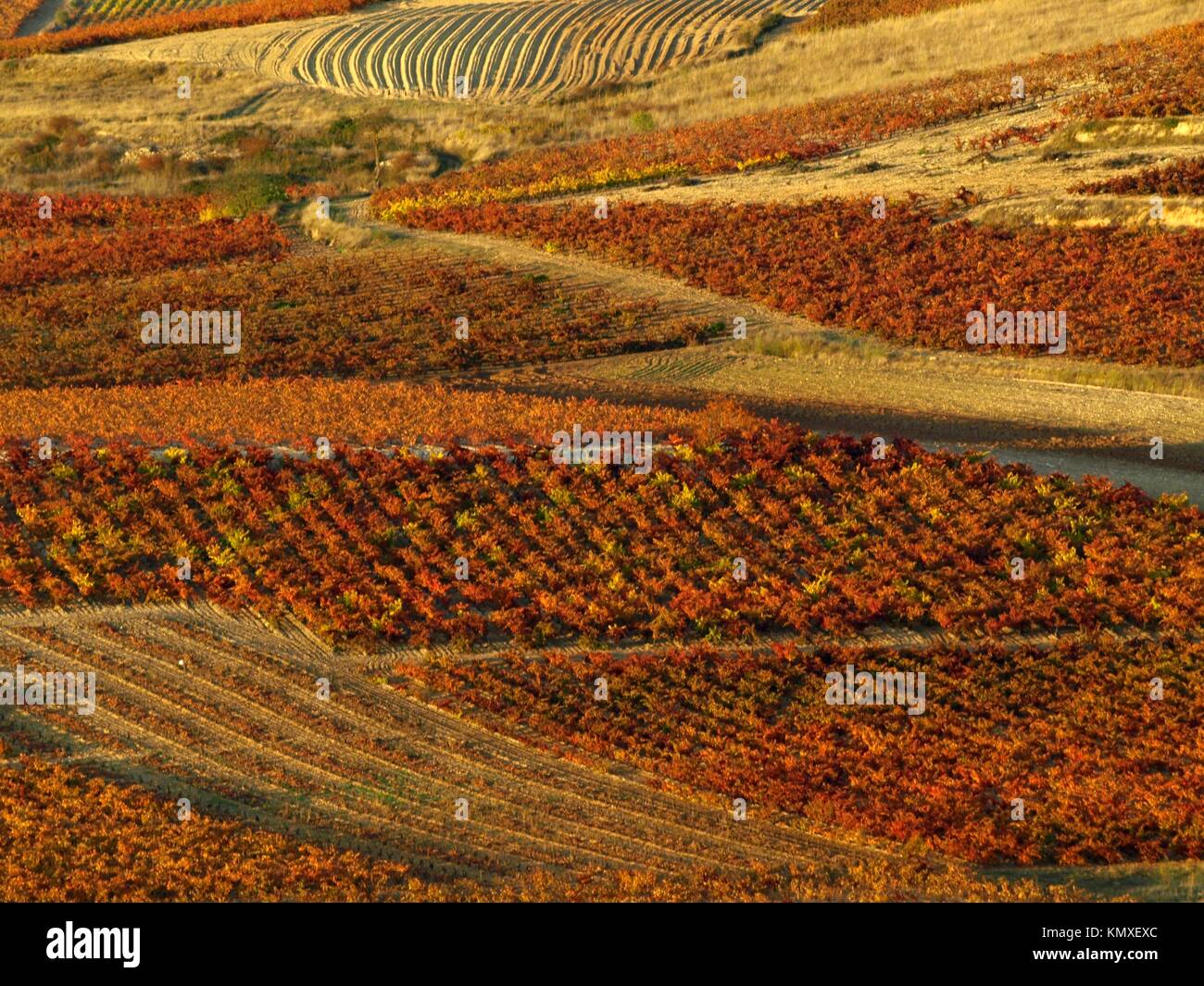 la rioja landscape in autumn Stock Photo
