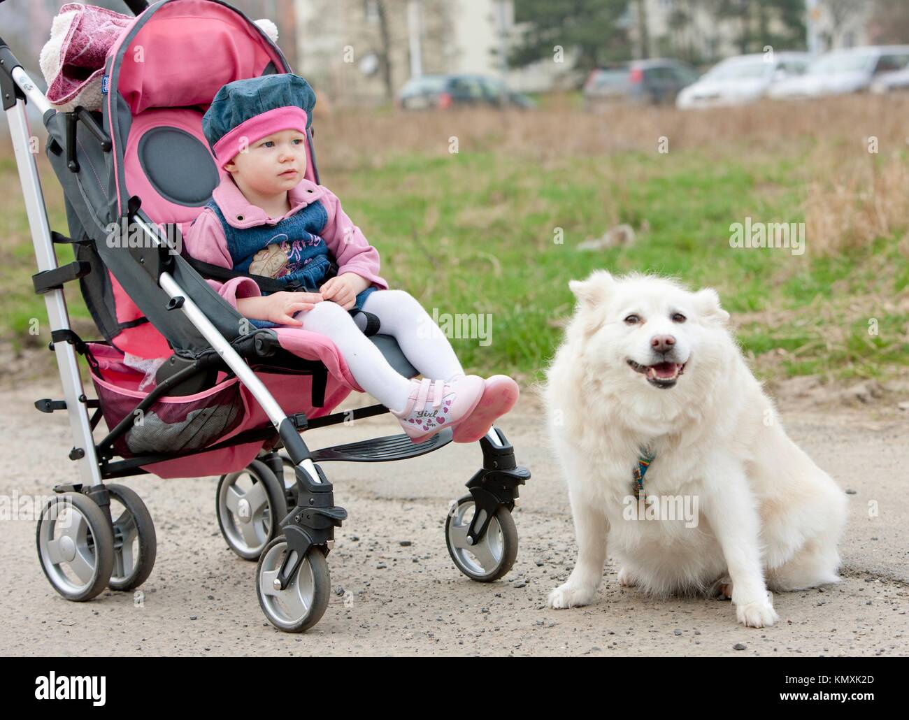 toddler sitting in a pram on walk with a dog Stock Photo Alamy