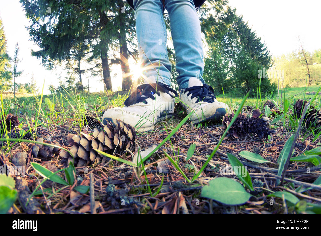 woman legs in sneakers on green grass. sport and healthy Stock Photo ...