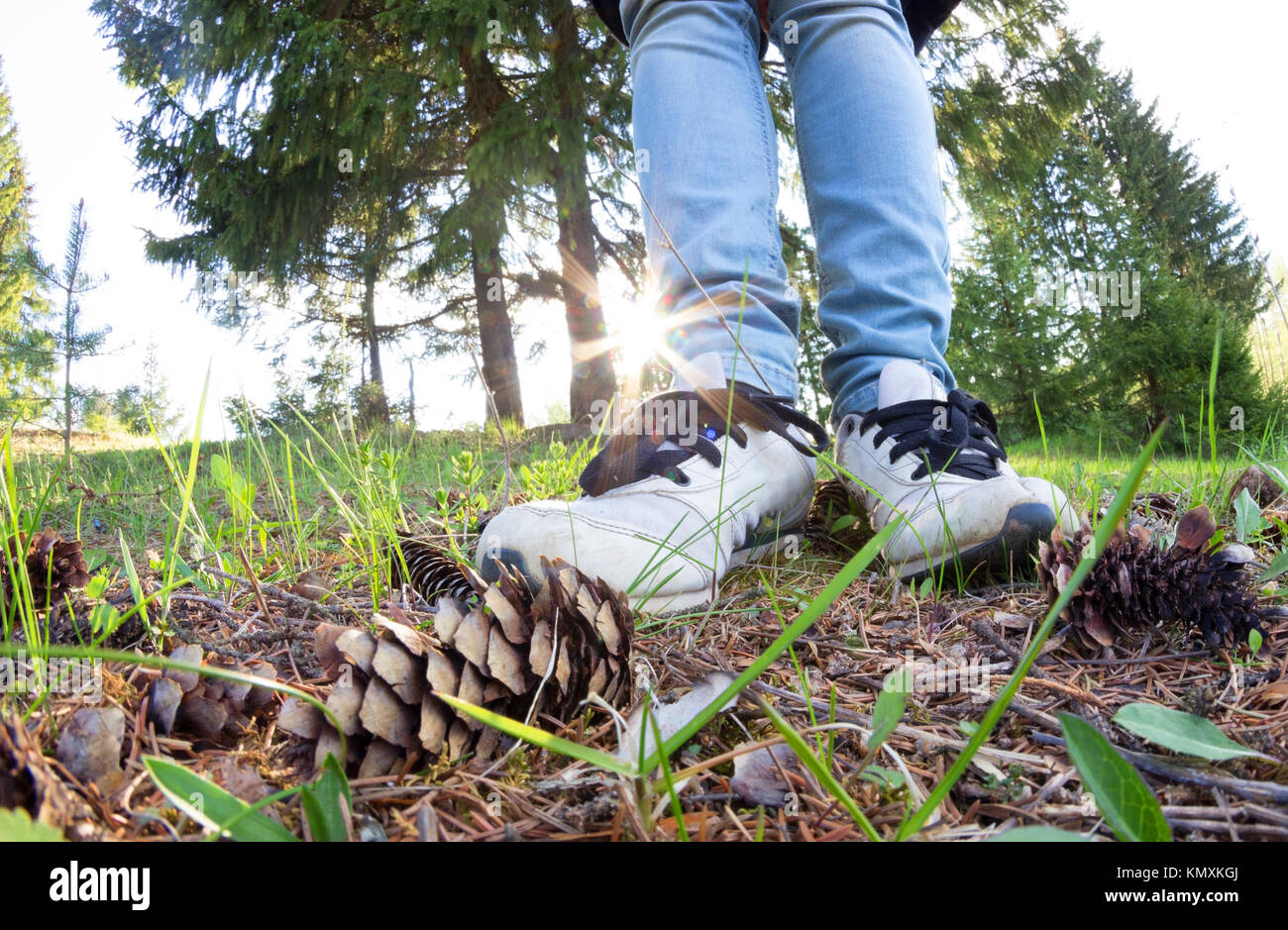 woman legs in sneakers on green grass. sport and healthy Stock Photo ...