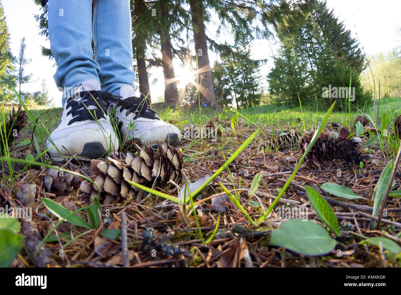 woman legs in sneakers on green grass. sport and healthy Stock Photo ...