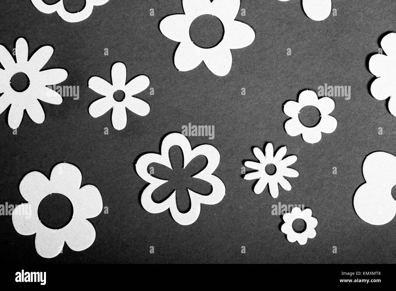 black and white flower background with various flower outlines and shapes, daisies, posy Stock Photo