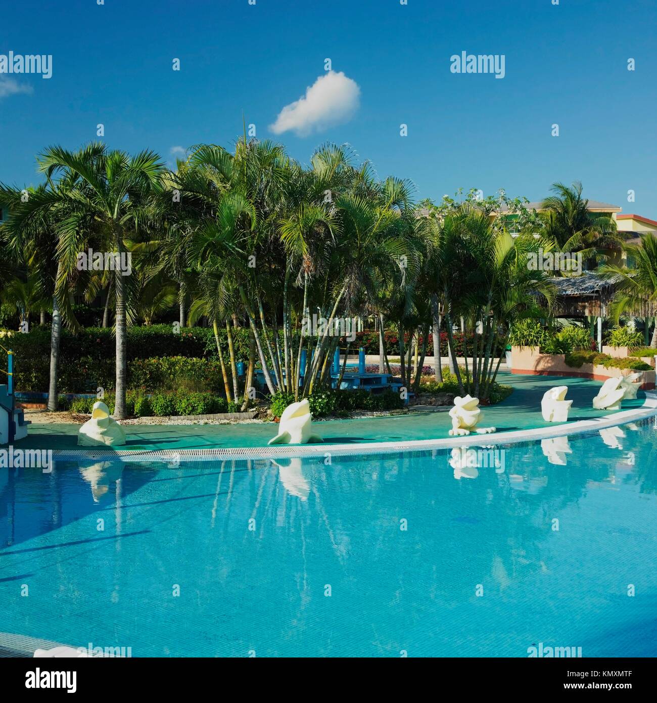 hotel´´s swimming pool, Cayo Coco, Cuba Stock Photo Alamy