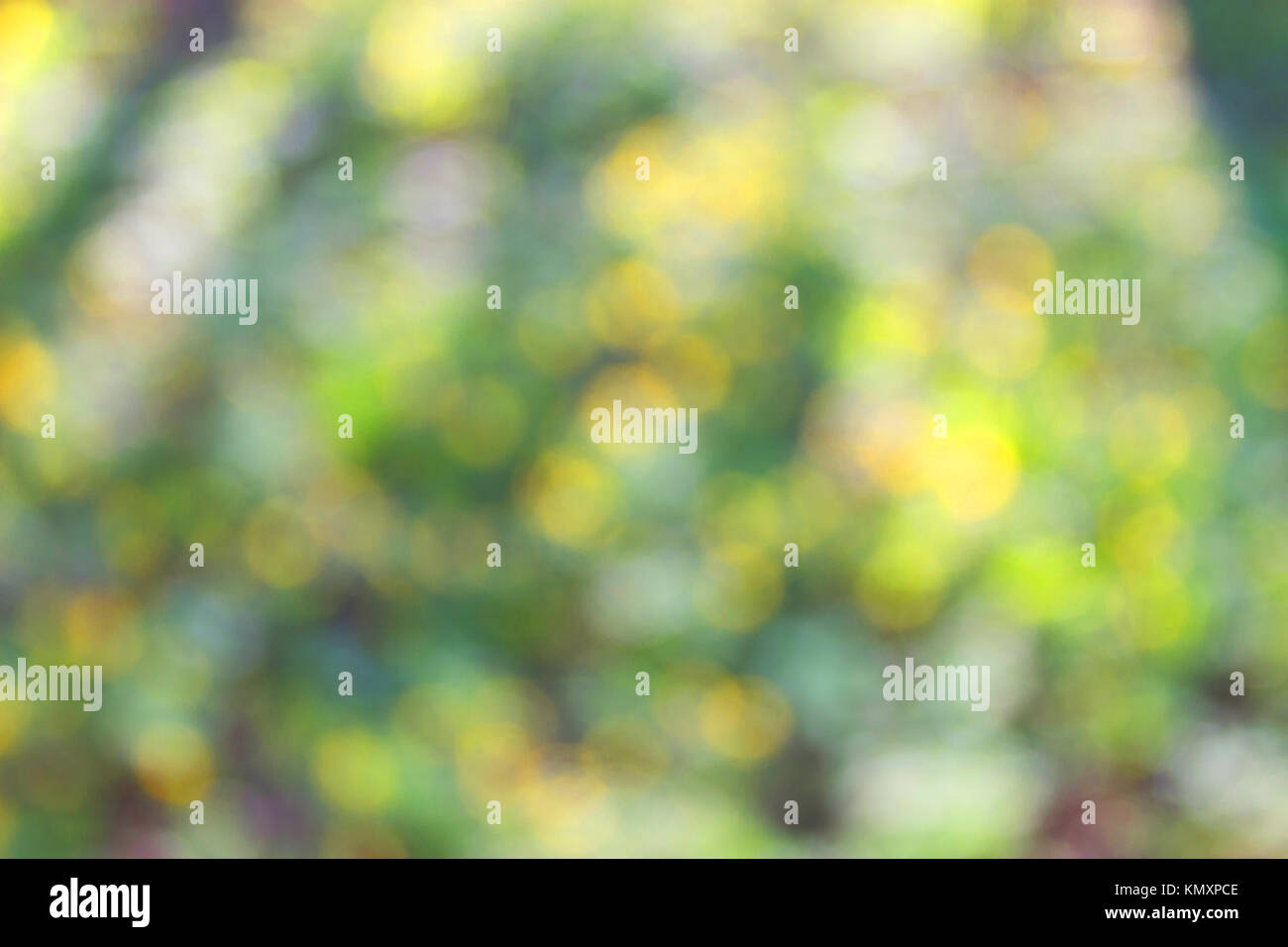 early spring. unfocused blurred yellow flowers background. Stock Photo