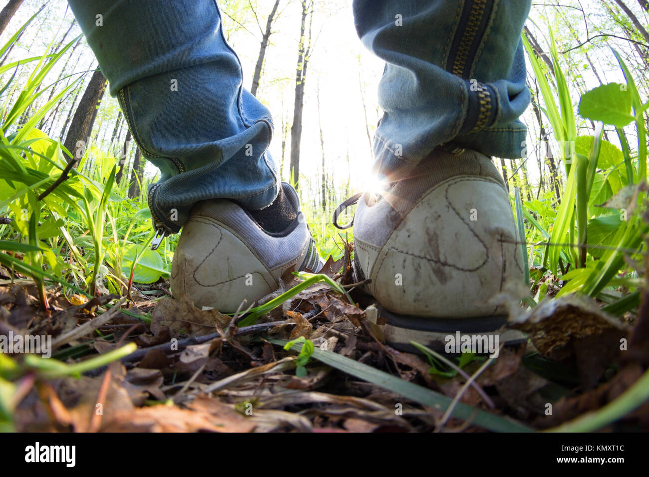 woman legs in sneakers on green grass. sport and healthy Stock Photo ...