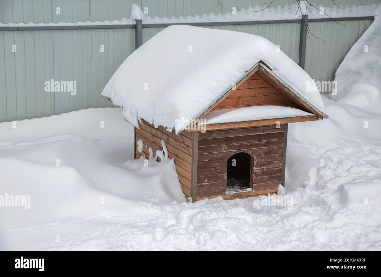 doghouse winter among the snowdrifts cold Freeze Stock Photo