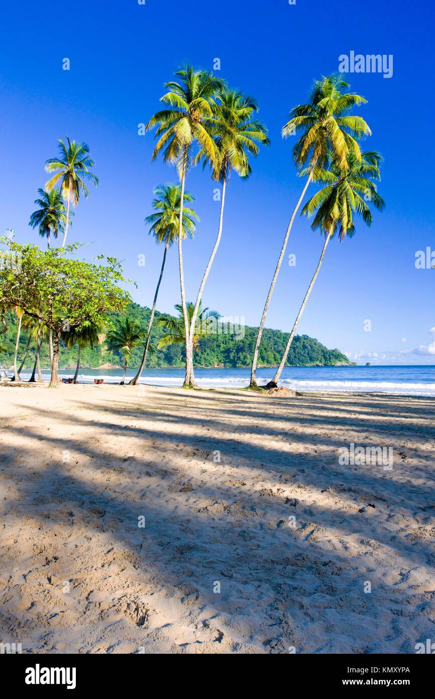 Maracas Beach High Resolution Stock Photography and Images Alamy