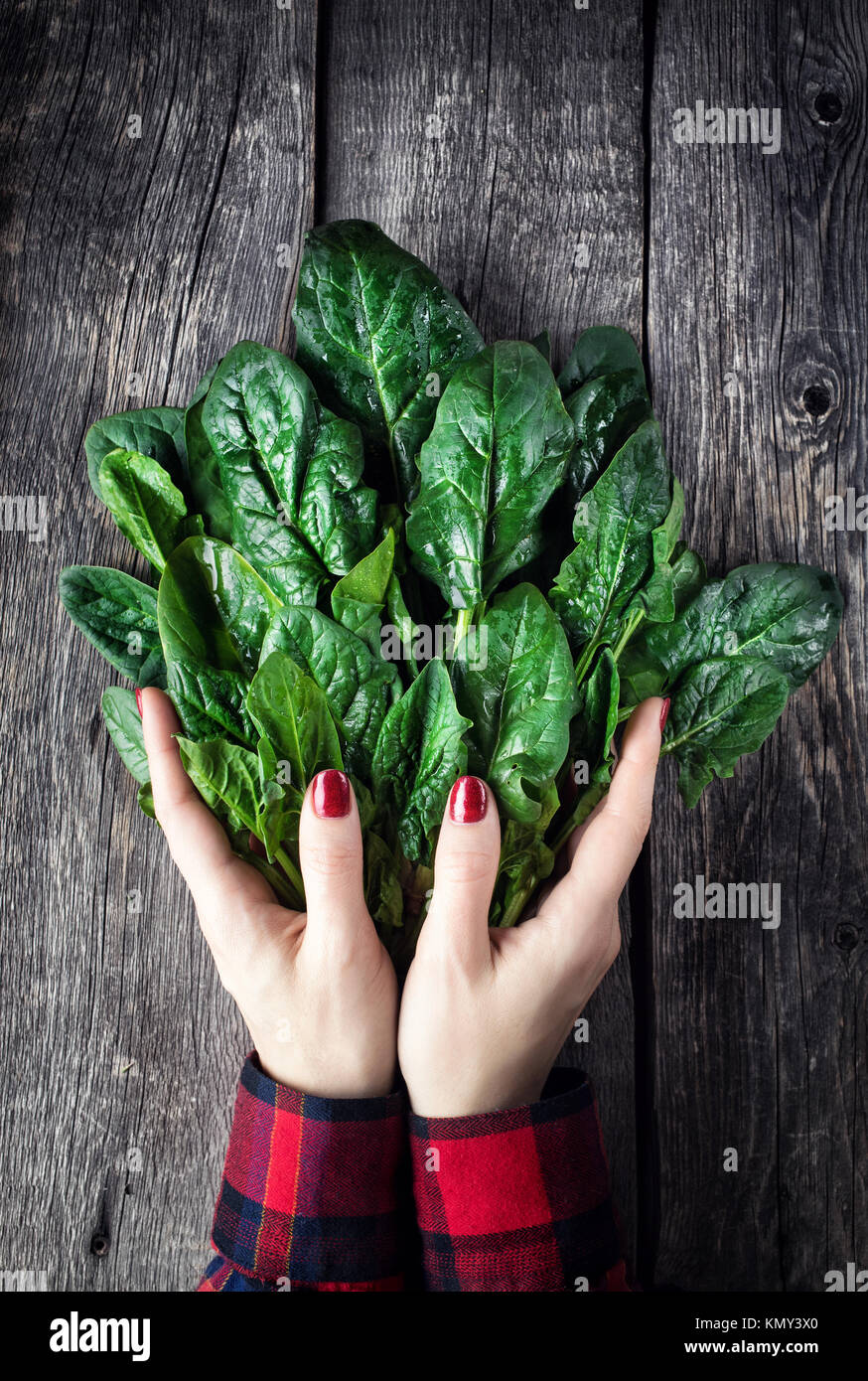 Woman in red holding fresh green spinach on rustic wooden background Stock Photo