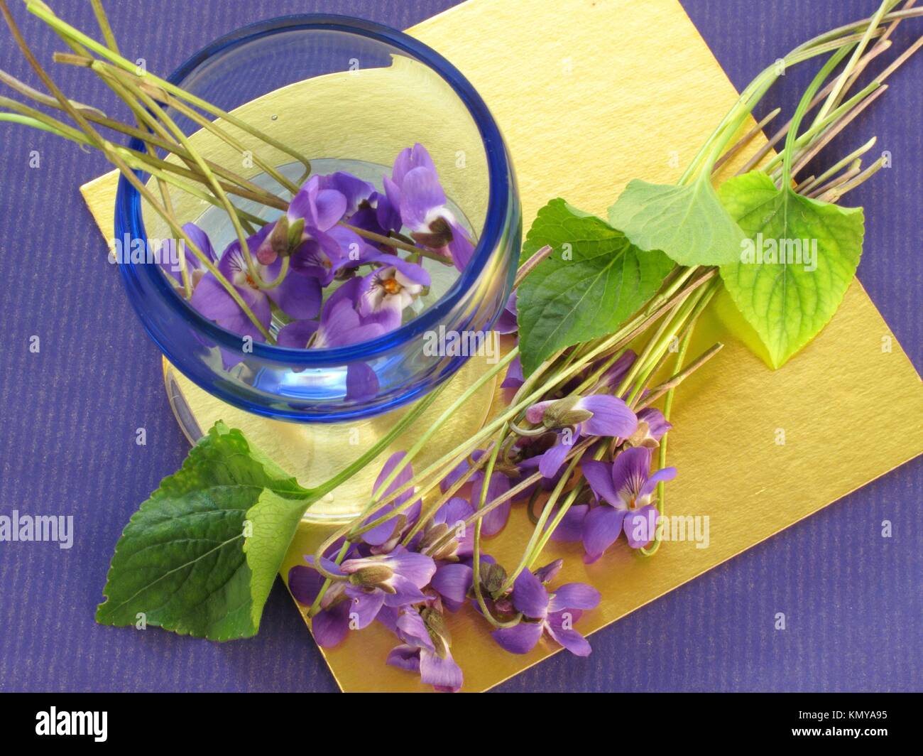 Edible flowers, violets Stock Photo Alamy