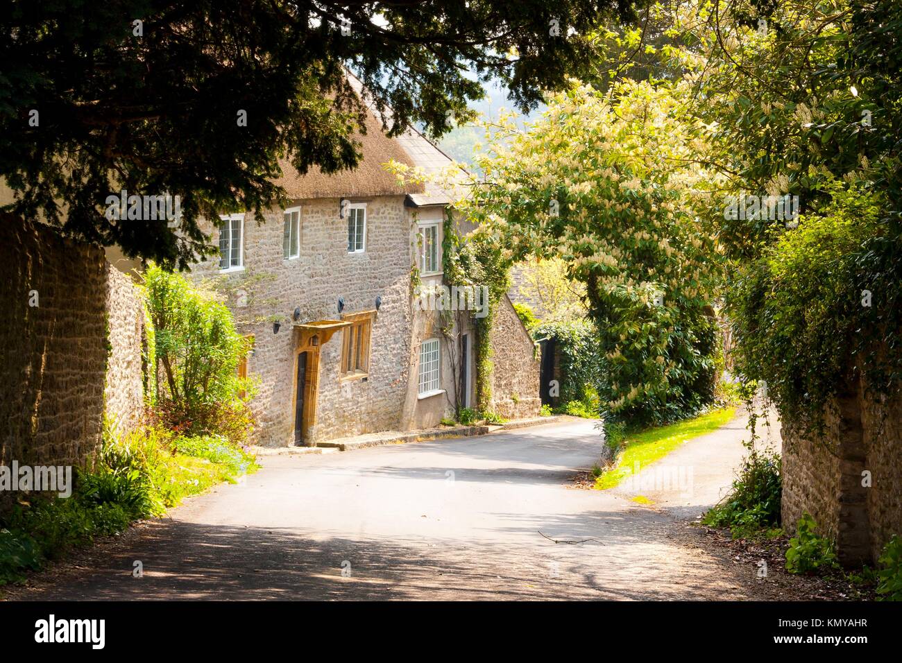 Dappled light in the Dorset village of Melbury Osmond with cottages in