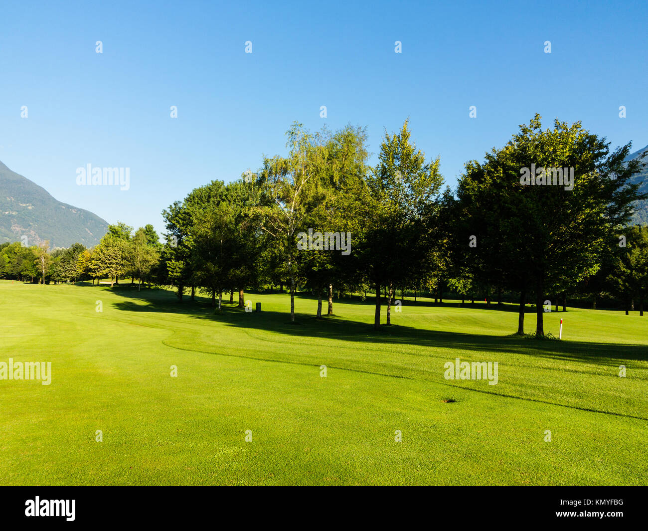 Green grass and trees in a public park Stock Photo - Alamy