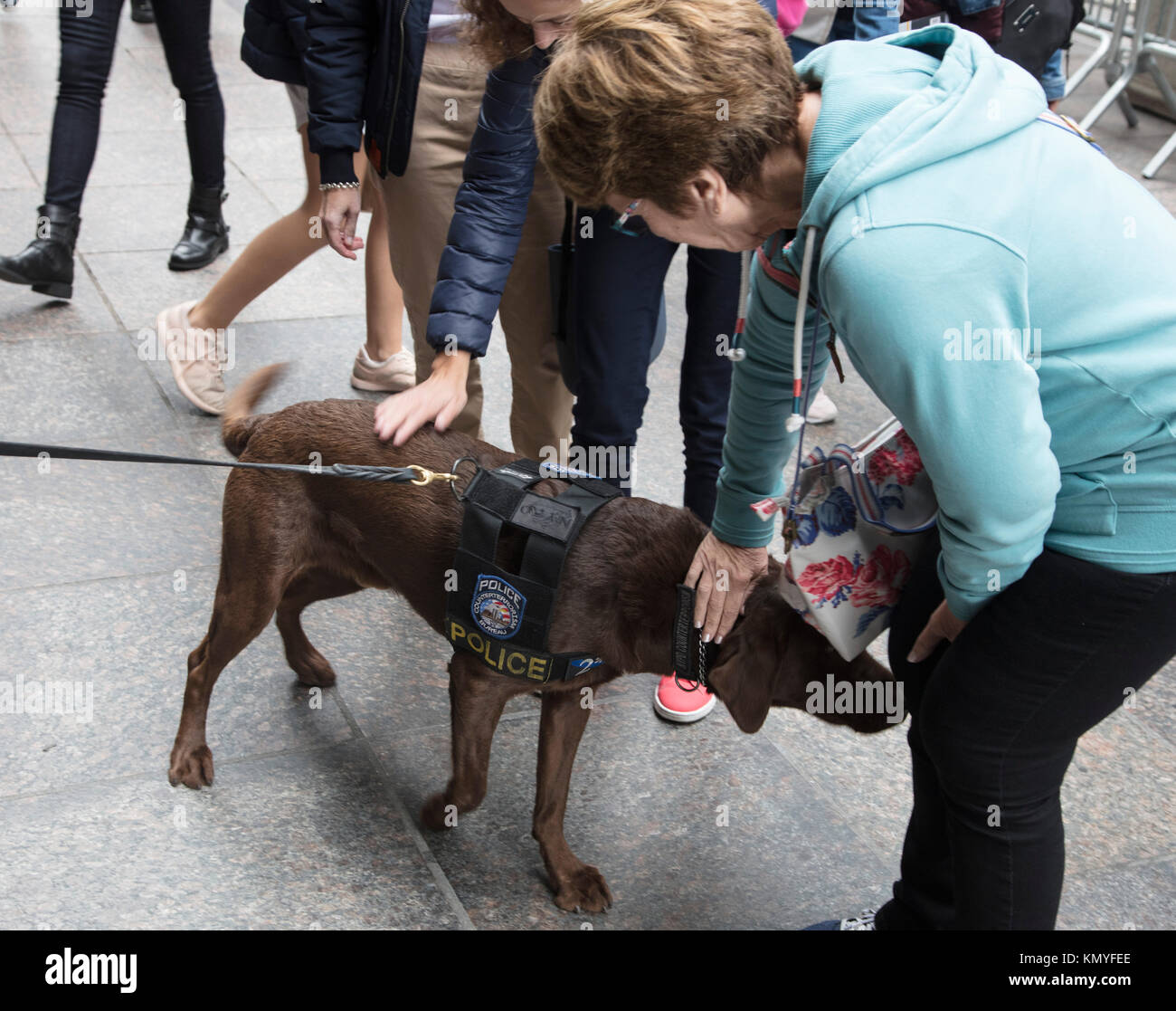 Lady Stroking NYPD Explosive/Bomb Sniffer Dog in Manhattan New York Stock Photo