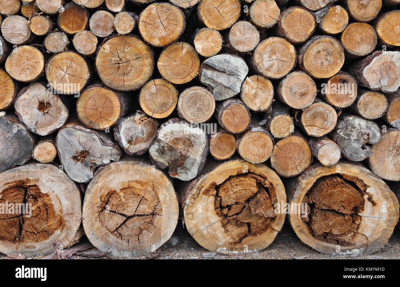 Sawn timber harvested in the woodpile, background Stock Photo - Alamy