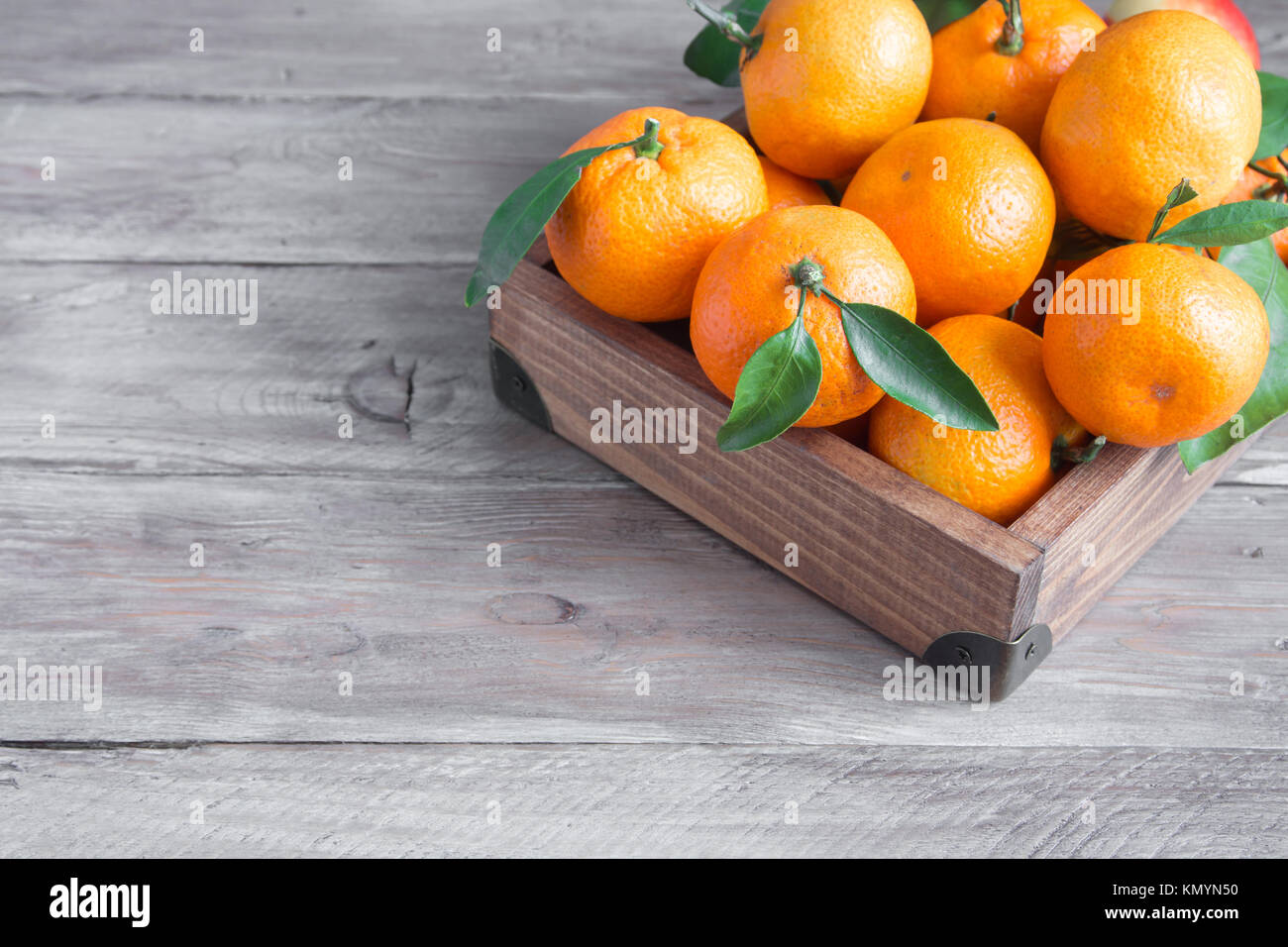 Tangerines (oranges, clementines, citrus fruits) with green leaves over