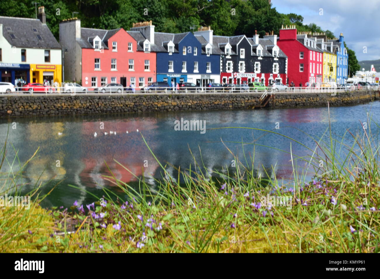 Wild Flowers In Foreground With Colourful Harbourside Cottages At