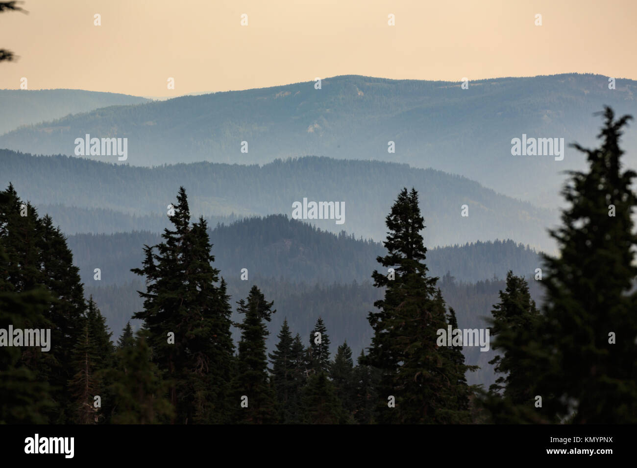 Peaceful, beautiful view of Cascade Mountain range framed by pine trees at sunset Stock Photo