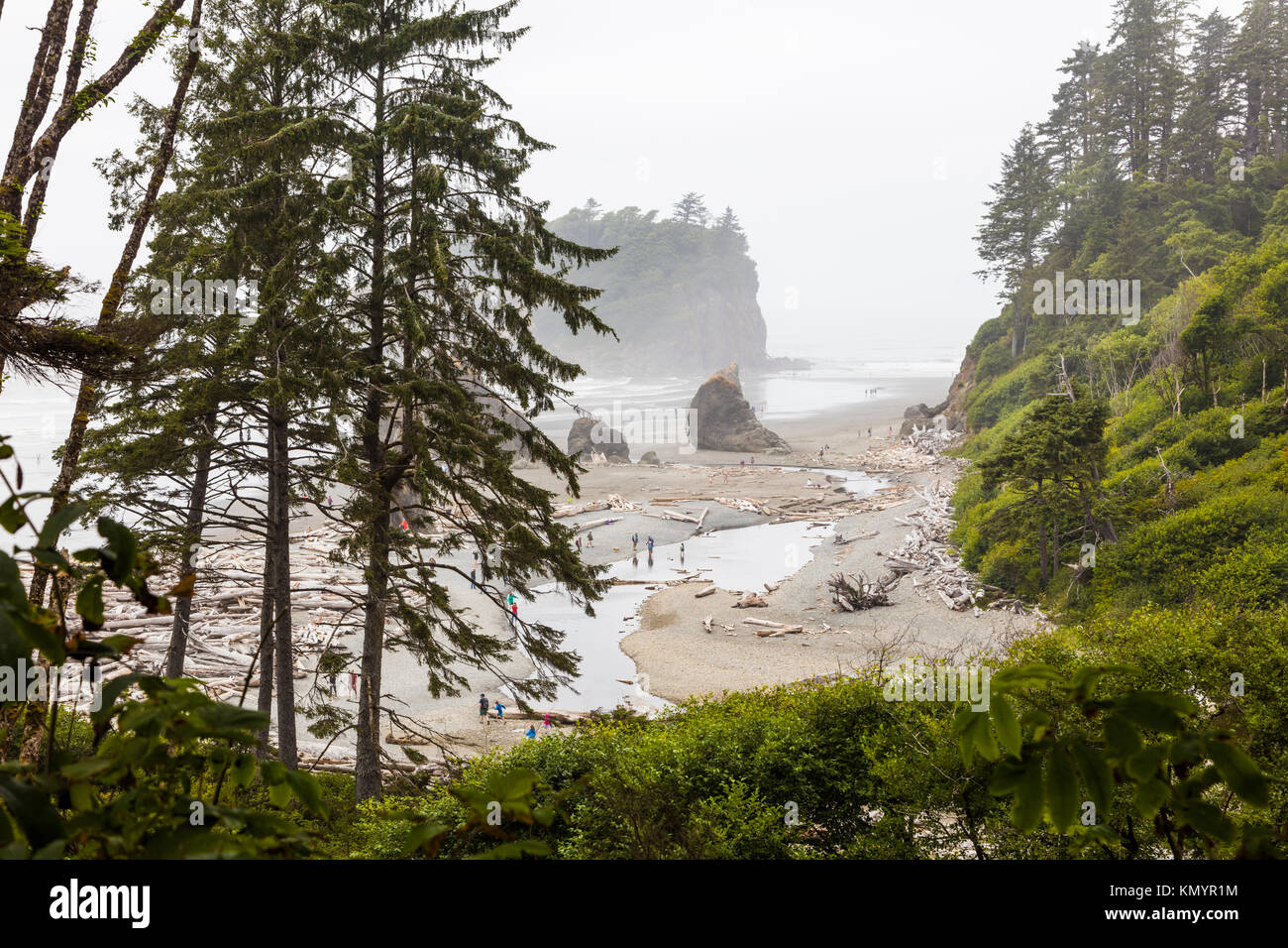 Ruby Beach on the Pacific Ocean  in Olypmic National Park in Washington State in the United States Stock Photo
