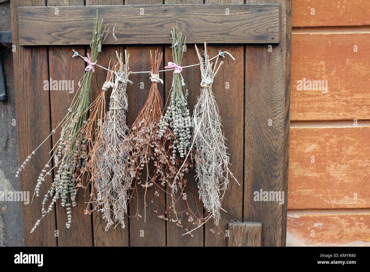 Flowers Hung to Dry Stock Photo