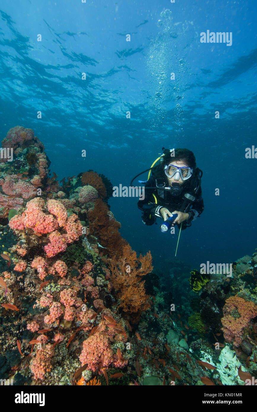 woman scuba diving on a tropical reef in the Philippines Stock Photo