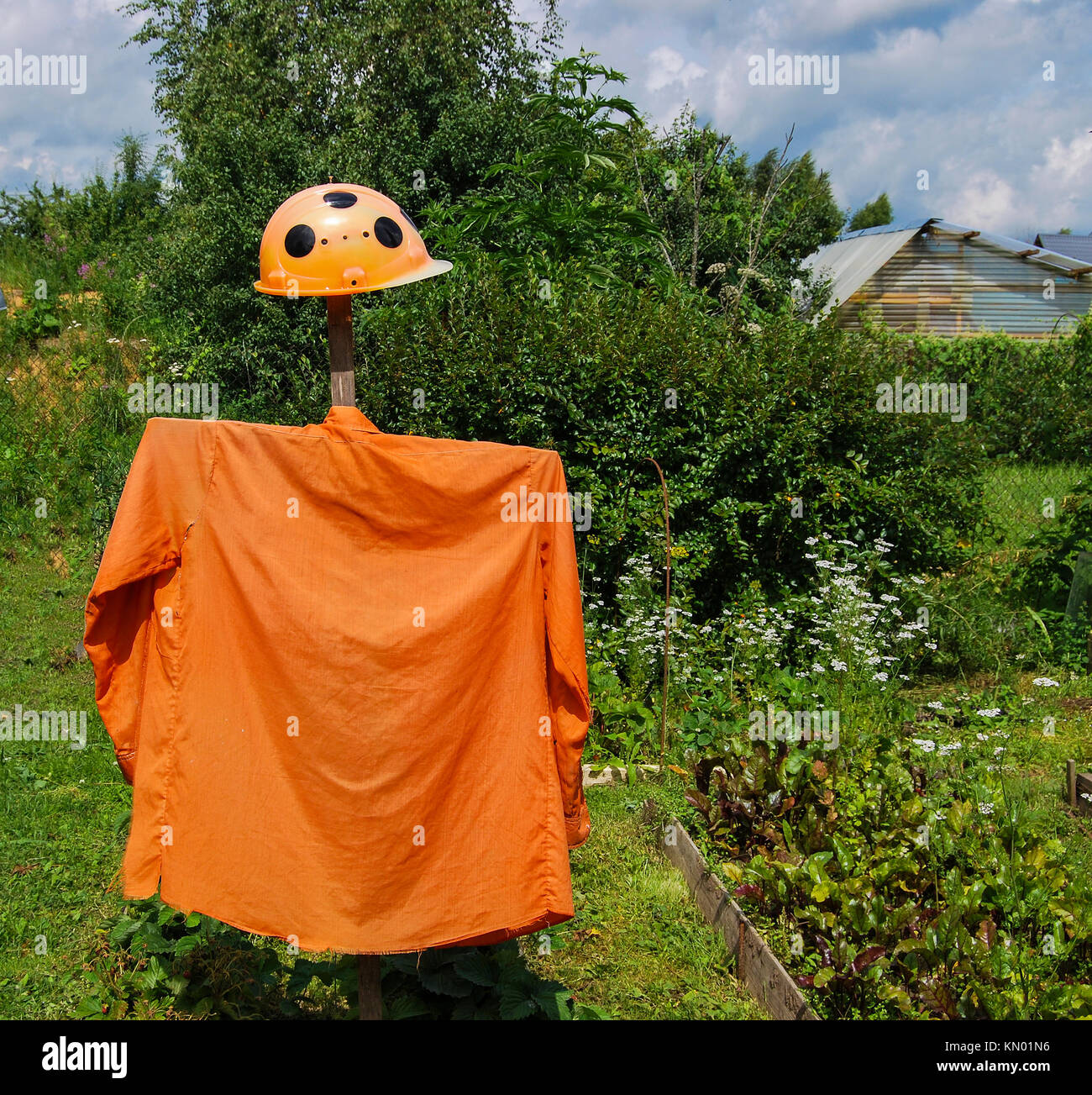 A bright scarecrow in an orange shirt and a construction helmet in black spots Stock Photo