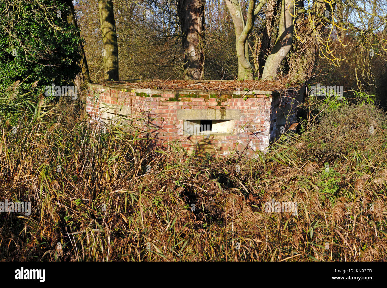 A second world war pillbox in the Norfolk countryside at Briggate, near Honing, Norfolk, England, United Kingdom. Stock Photo
