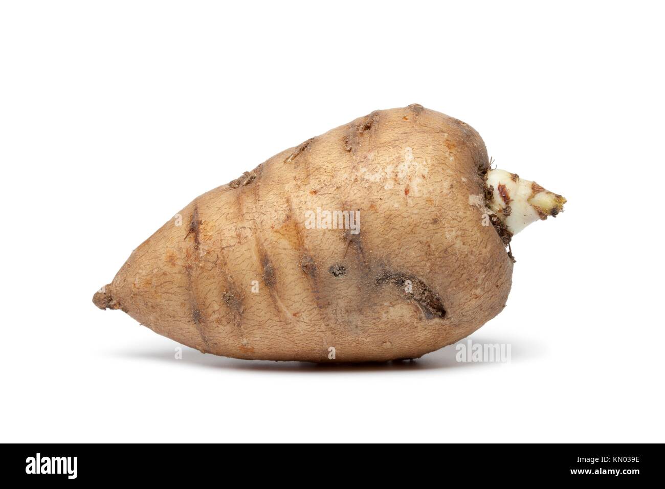 Whole single Turnip-rooted chervil on white background Stock Photo