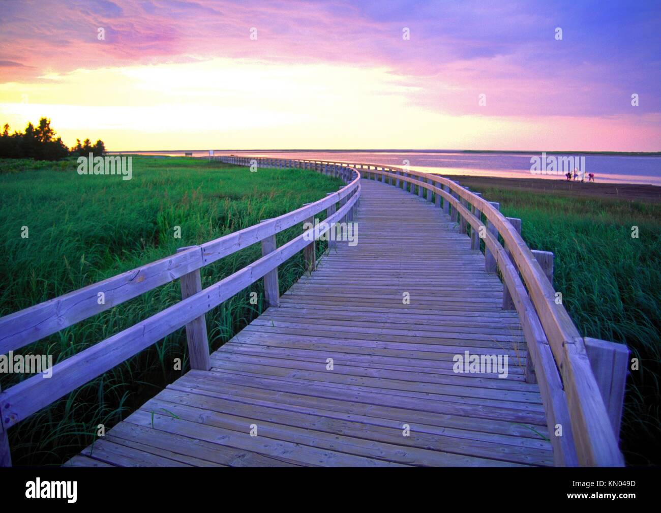 a boardwalk at Kelly´s Beach Kouchibouguac National Park New Brunswick Canada Stock Photo Alamy