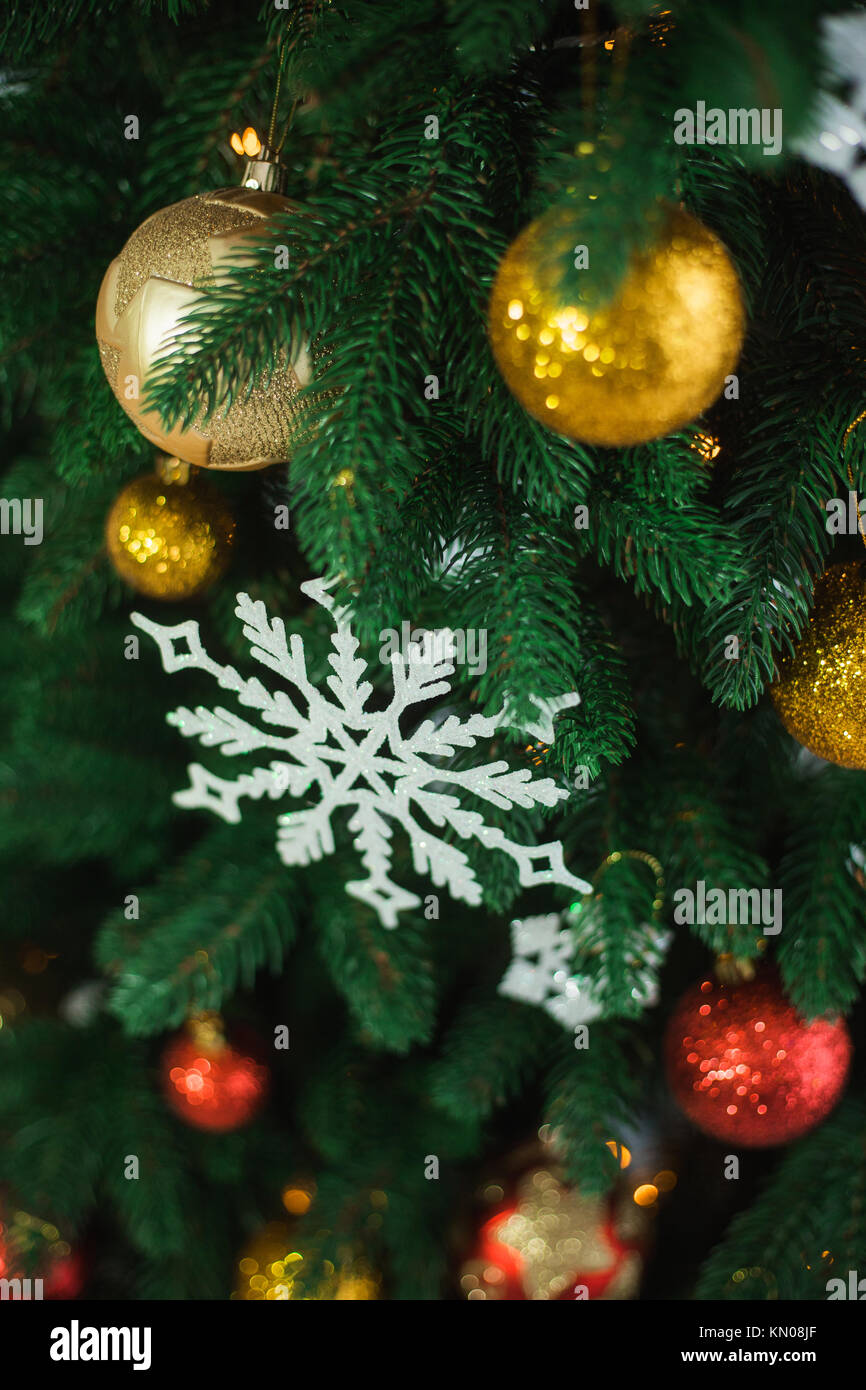 Closeup view of beautiful green branches of Christmas tree decorated ...
