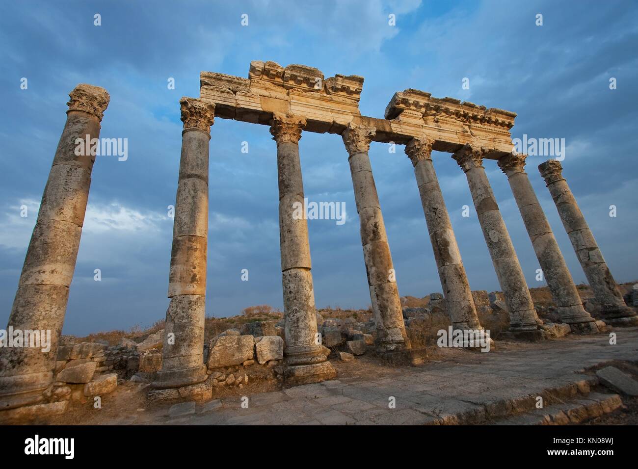 Middle Eastern Column Columns in Aphamia, Syria, Middle East Stock Photo - Alamy