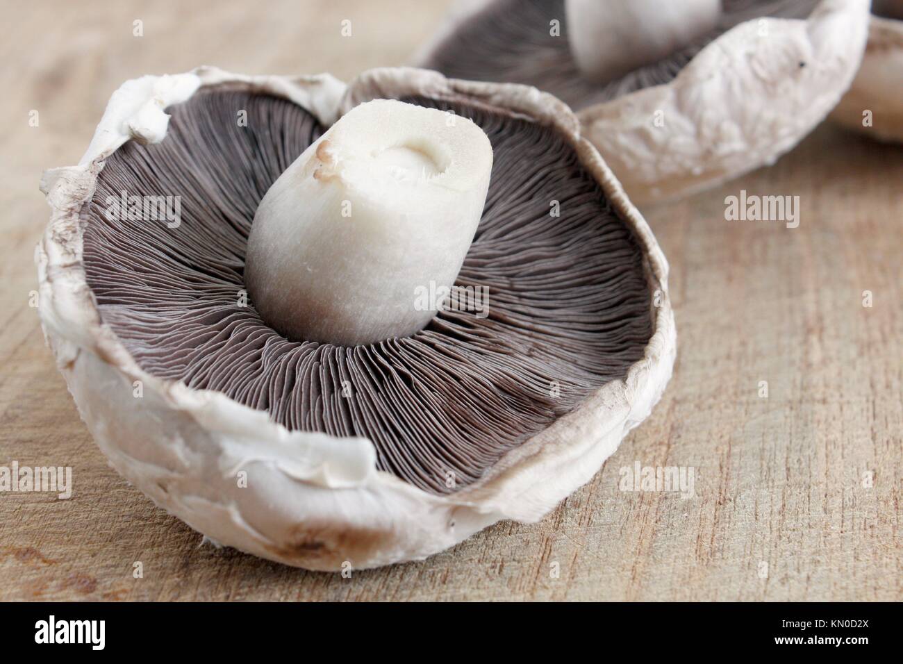 A big flat mushroom on a wooden surface Stock Photo Alamy