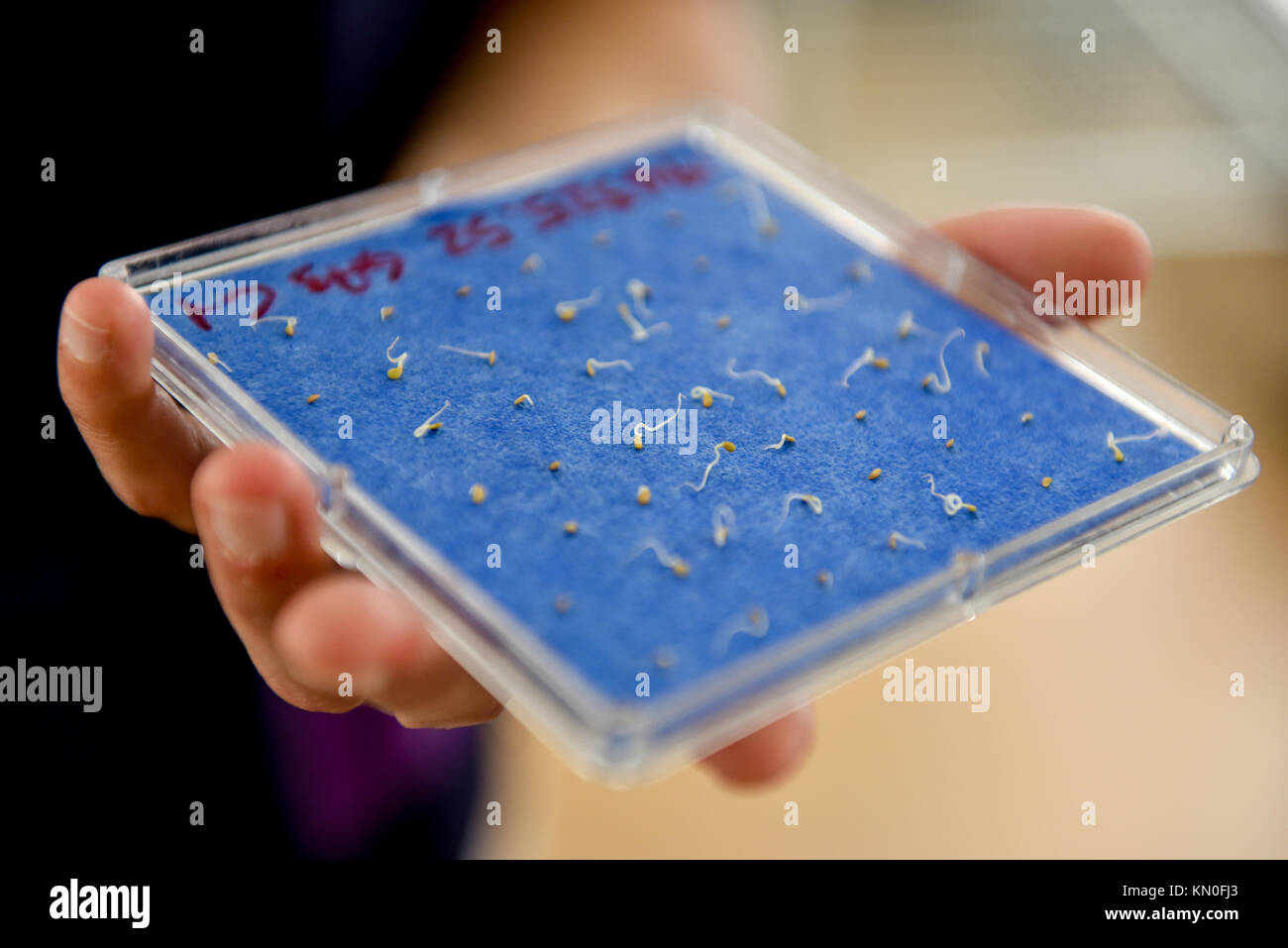 Agricultural research hi-res stock photography and images - Alamy