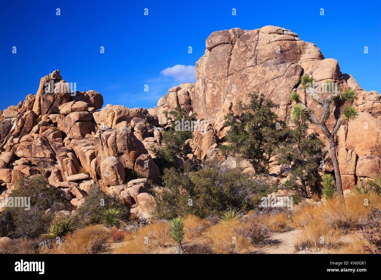 Hidden Valley Rock Joshua Tree Big Rocks Yucca Brevifolia Mojave Desert
