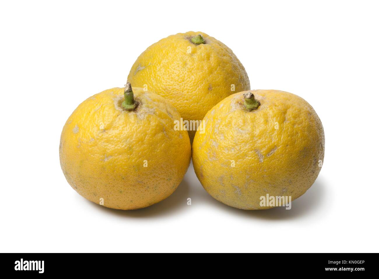 Bergamot oranges on white background Stock Photo Alamy
