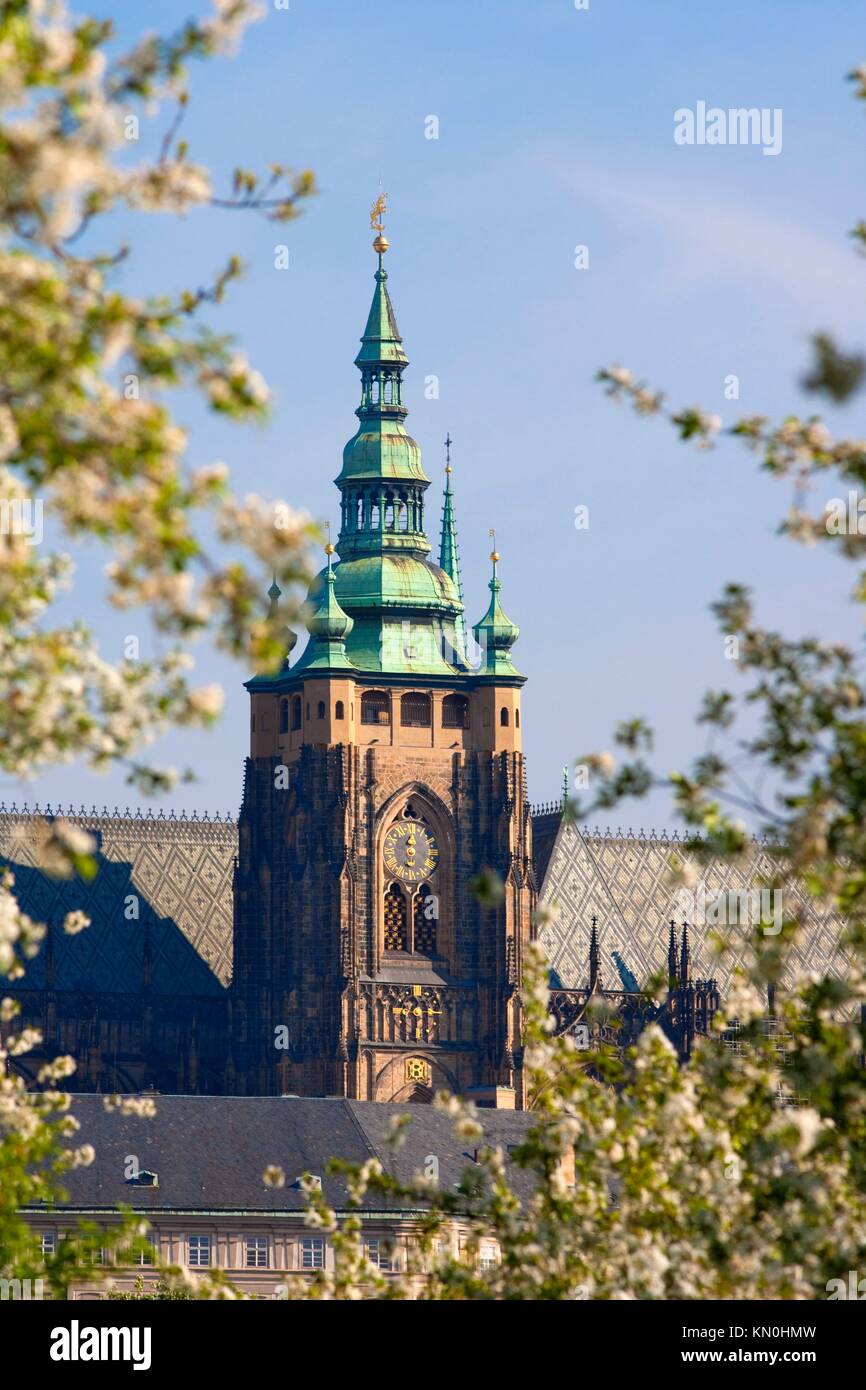 prague, czech republic - st  vitus cathedral at hradcany castle in spring Stock Photo