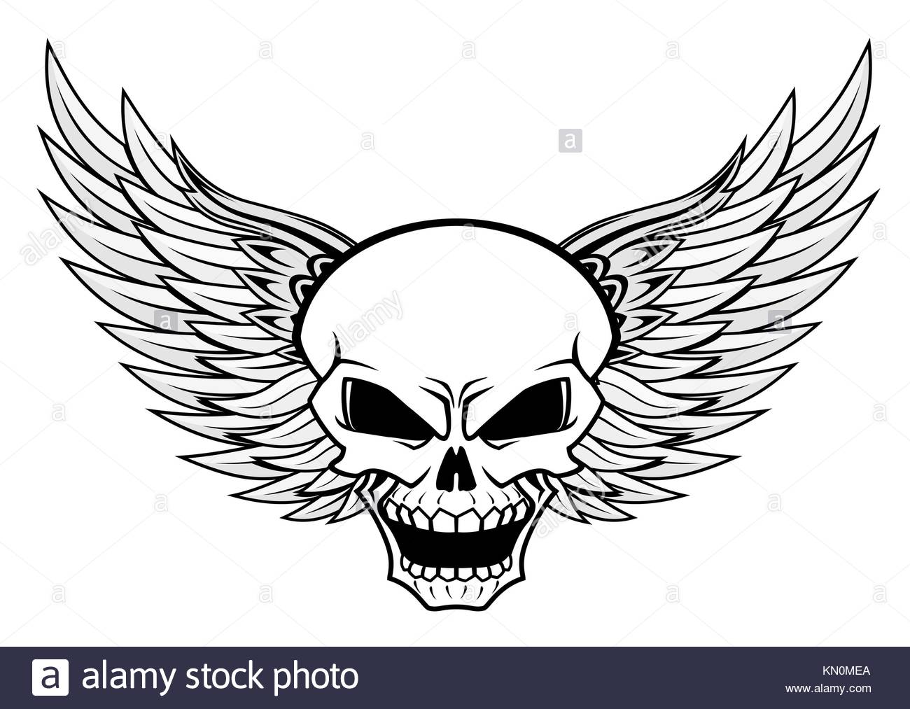 Skull with angel wings for tattoo or mascot design Stock Photo