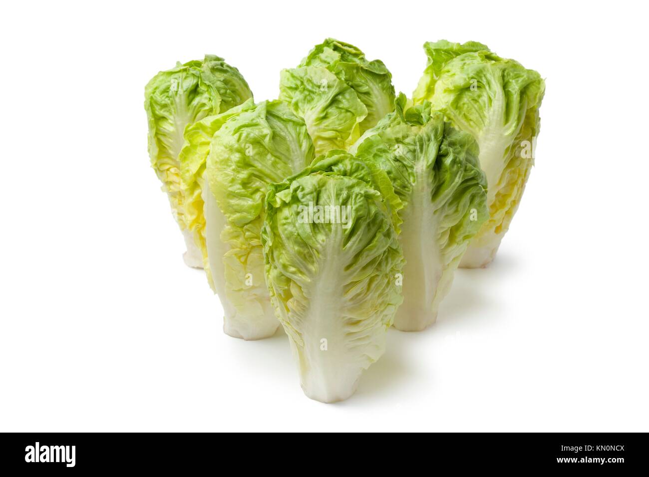 Baby gem lettuce on white background Stock Photo Alamy