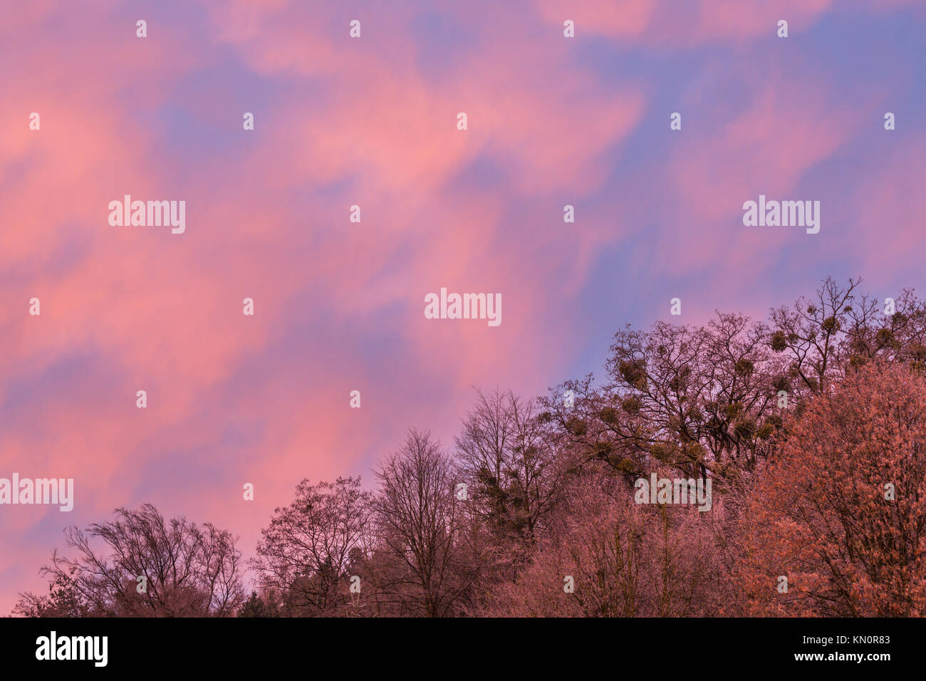Colorful Sky with Trees in the foreground, Sunrise, Lower Austria, Austria Stock Photo
