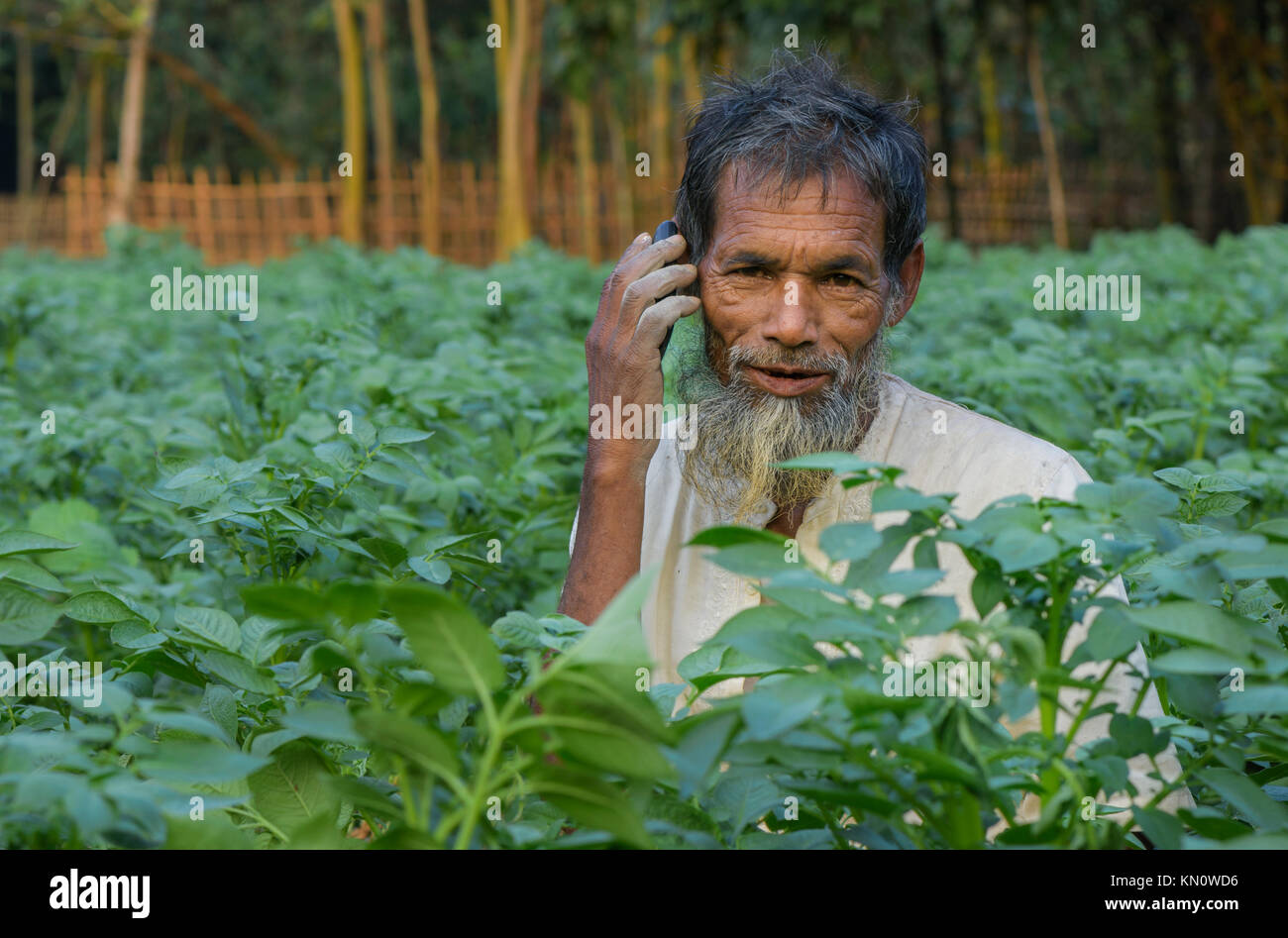 Krishan call center hi-res stock photography and images - Alamy