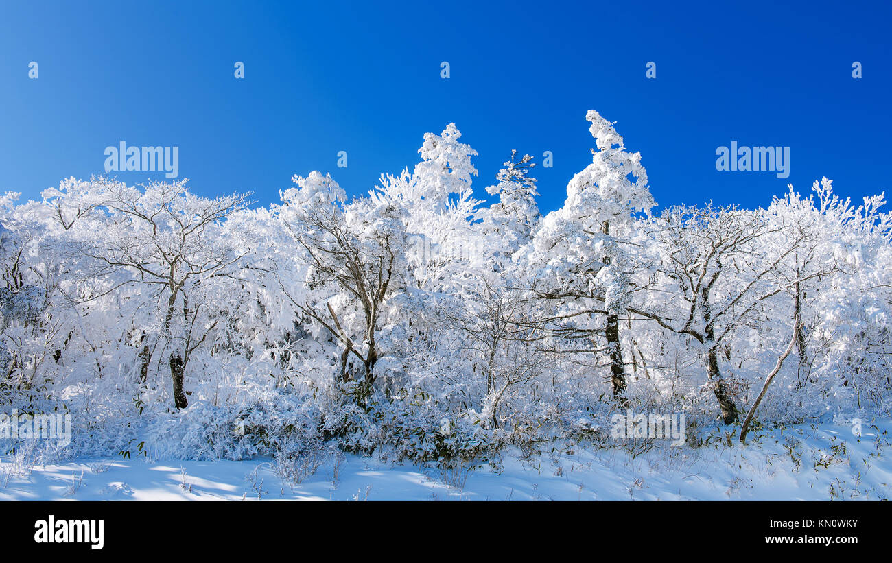 Deogyusan mountains is covered by snow in winter,South Korea. Stock Photo