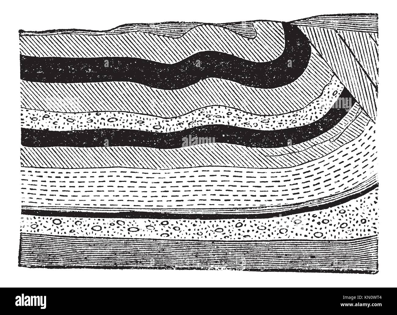 Illustration of coal beds in layers in the ground, vintage engraved