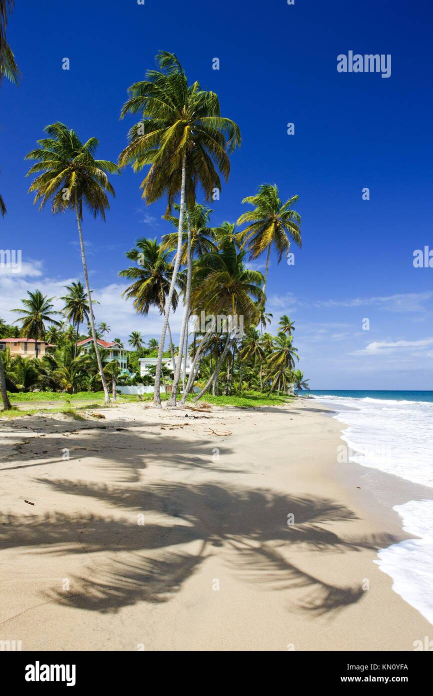 Sauteurs Bay, Grenada Stock Photo Alamy
