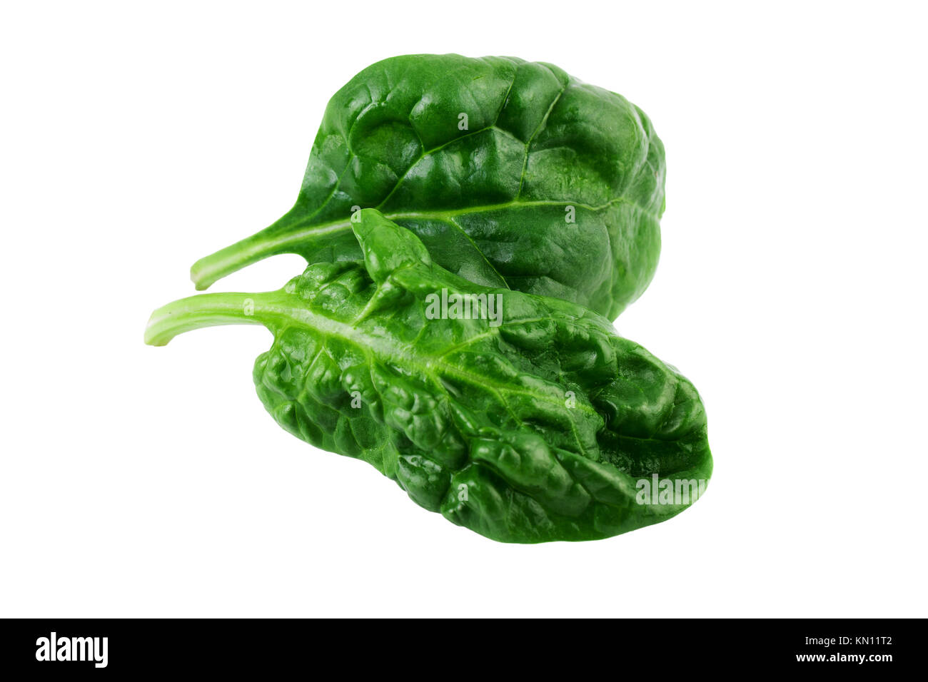 Spinach leaves hi-res stock photography and images - Alamy
