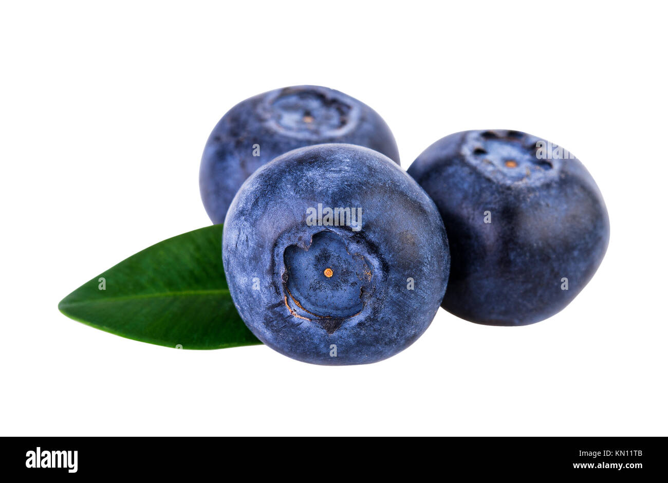 Blueberries three on white with clipping path Stock Photo