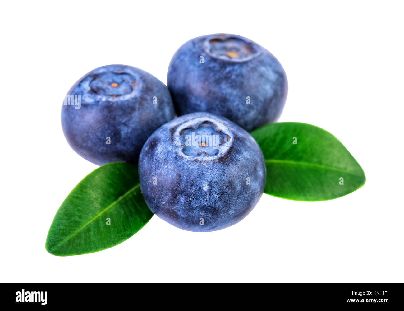 Blueberries isolated on white with clipping path Stock Photo