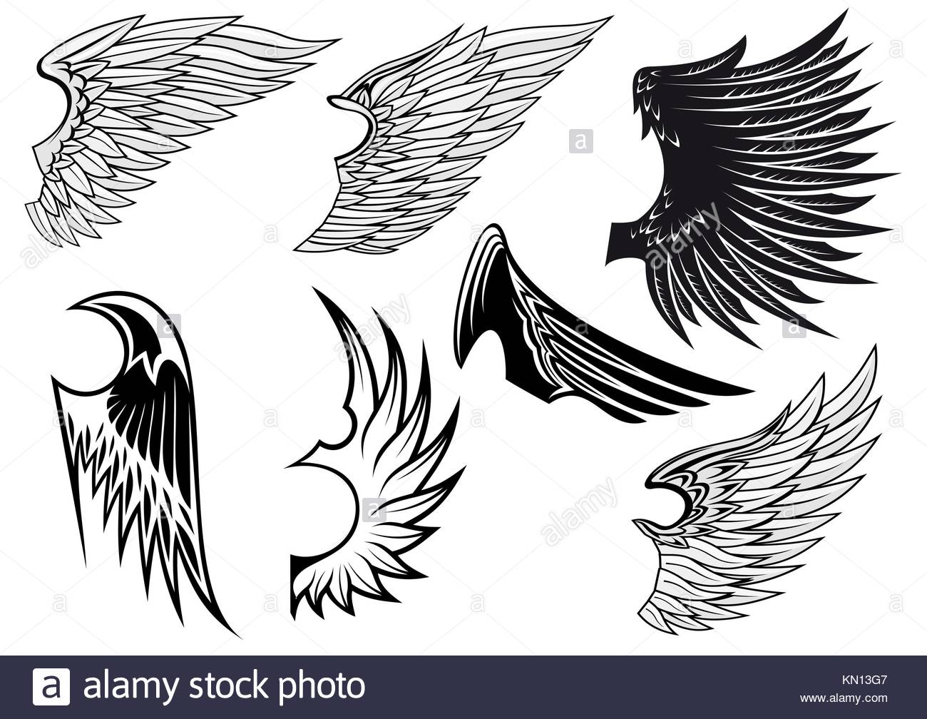 Bird Wings Outline Cut Out Stock Images & Pictures - Alamy