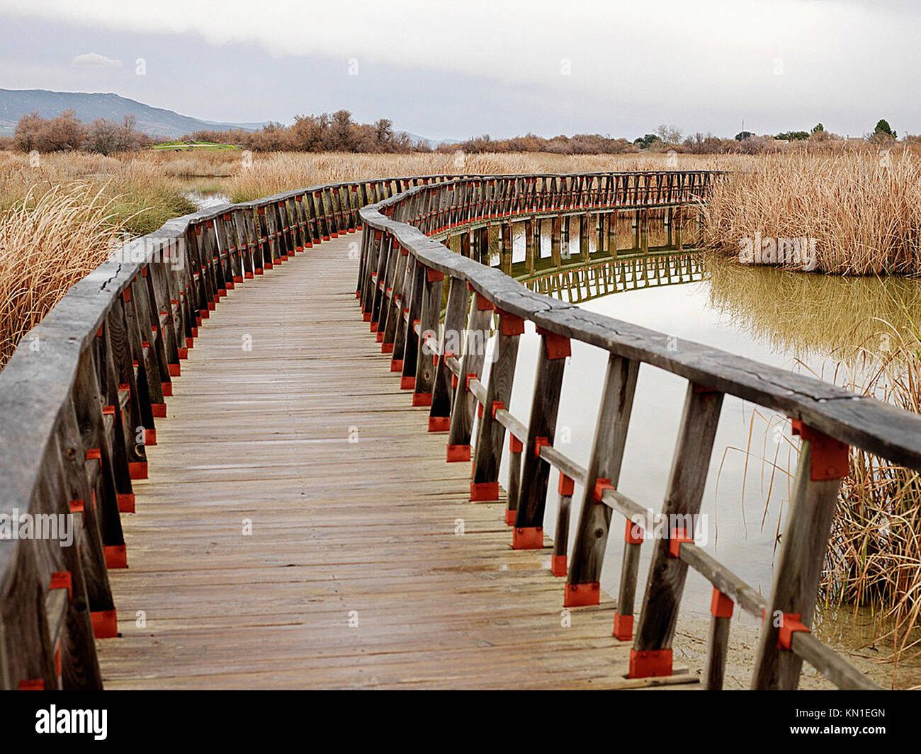 National Park Las Tablas de Daimiel Stock Photo